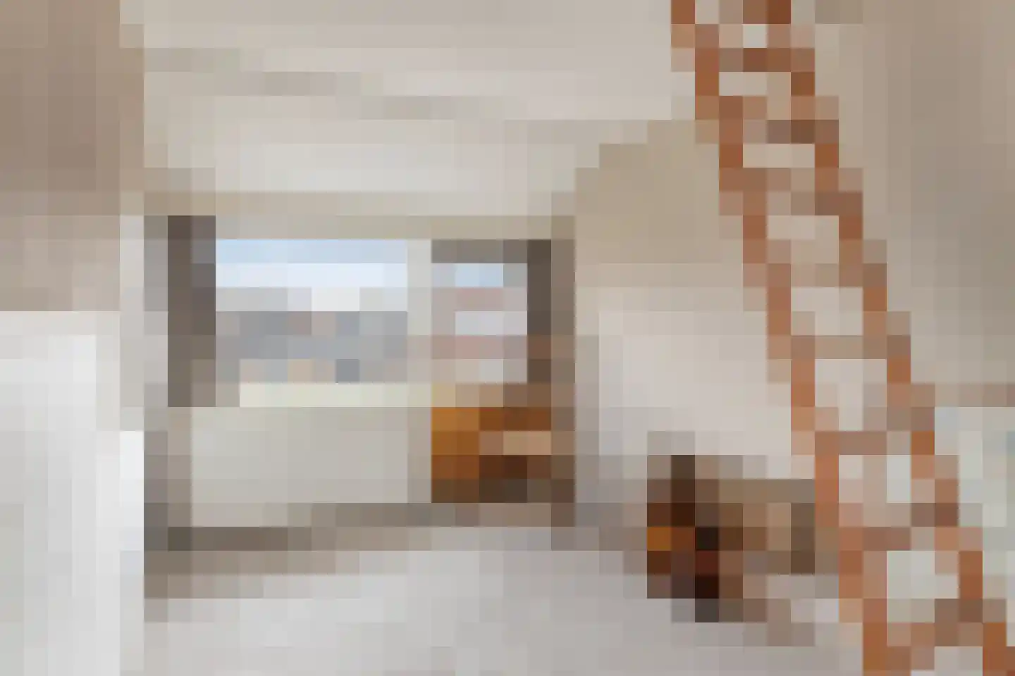 Van der Leestraat 13 Alblasserdam thumbnail 34