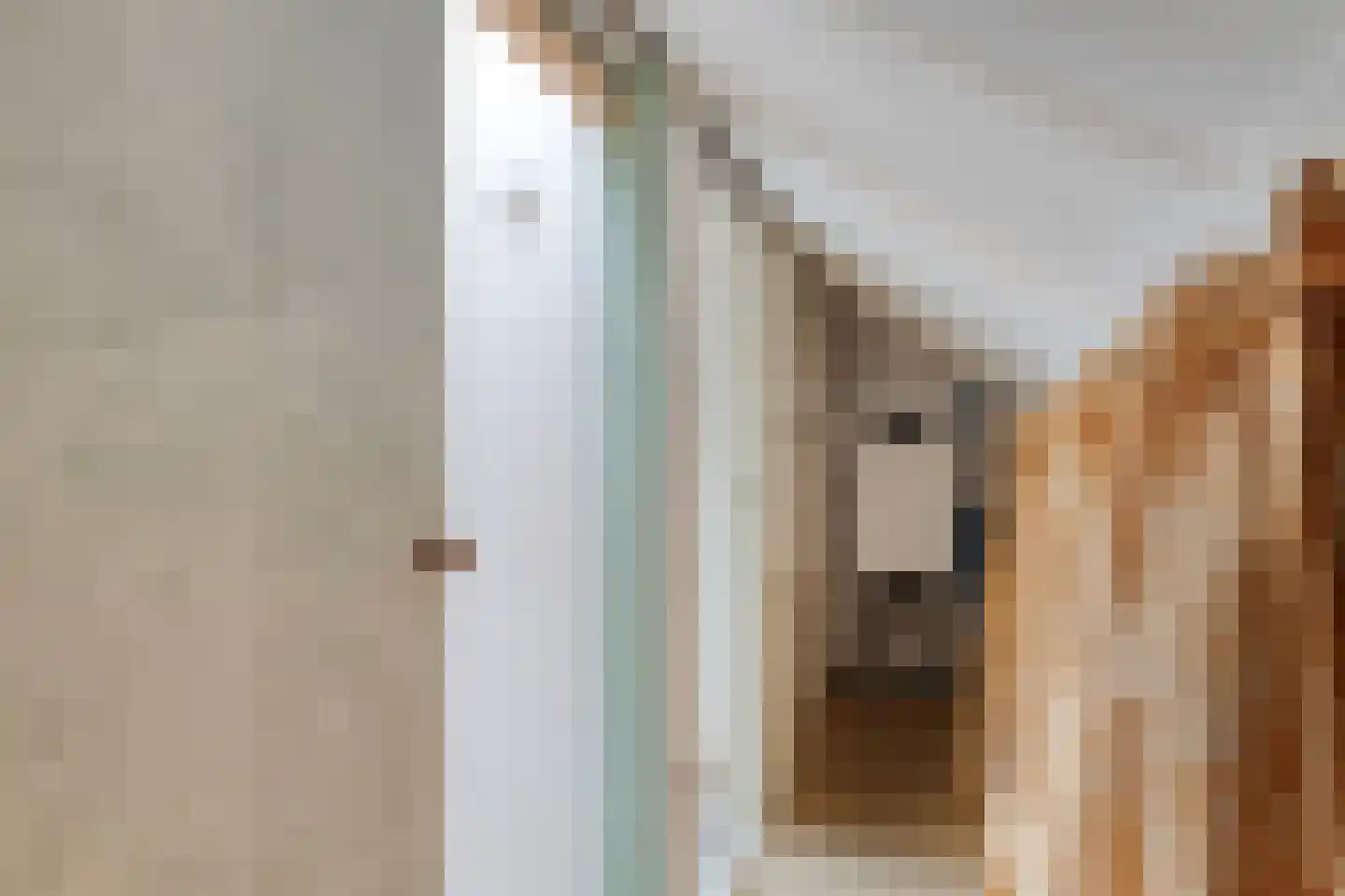 Van der Leestraat 13 Alblasserdam thumbnail 37