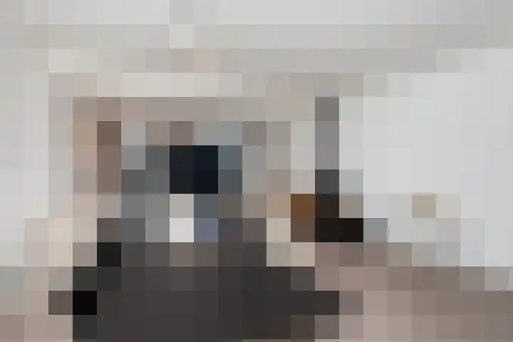 Van der Leestraat 15 Alblasserdam thumbnail 10