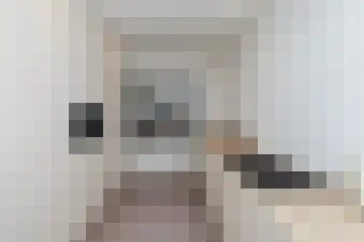 Van der Leestraat 15 Alblasserdam thumbnail 13