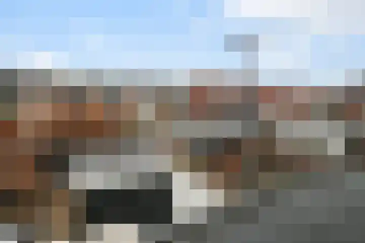 Van der Leestraat 15 Alblasserdam thumbnail 23