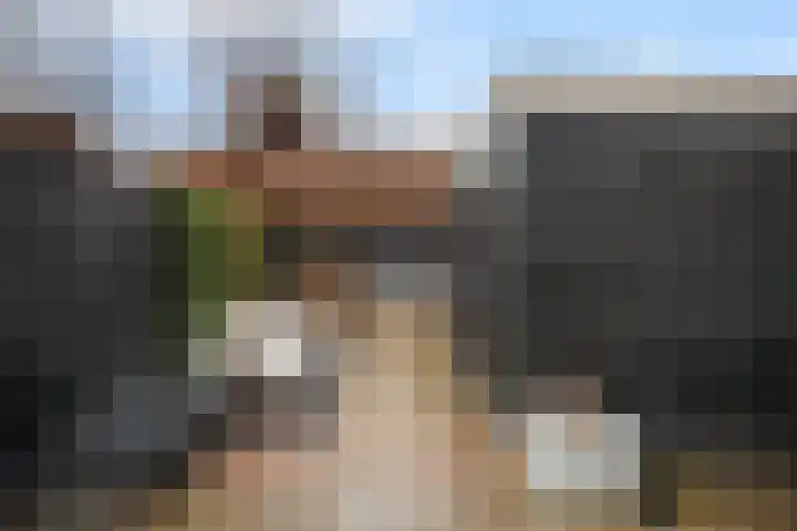 Van der Leestraat 15 Alblasserdam thumbnail 33