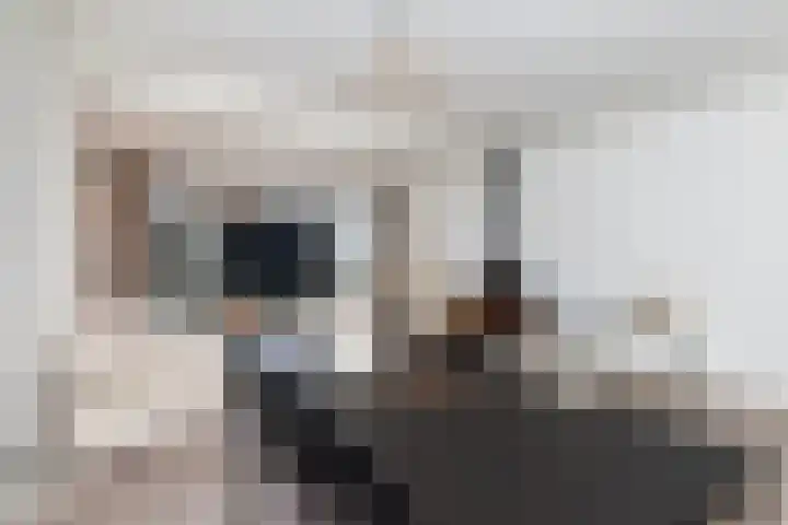 Van der Leestraat 15 Alblasserdam thumbnail 7