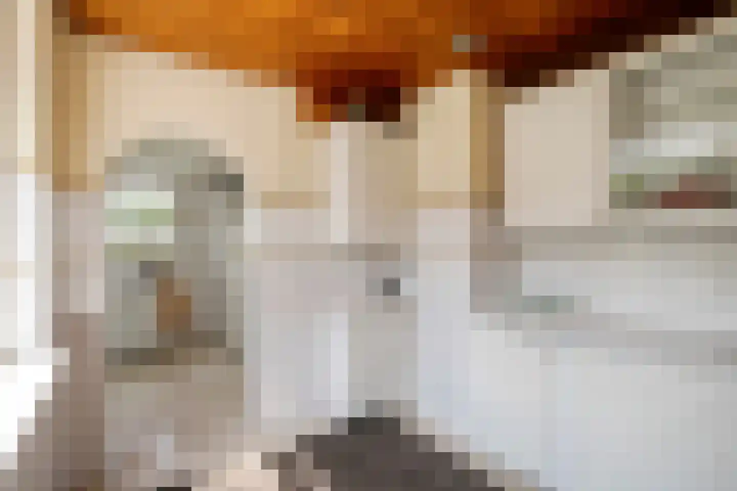 Van der Leeuwlaan 2 Schiedam thumbnail 14