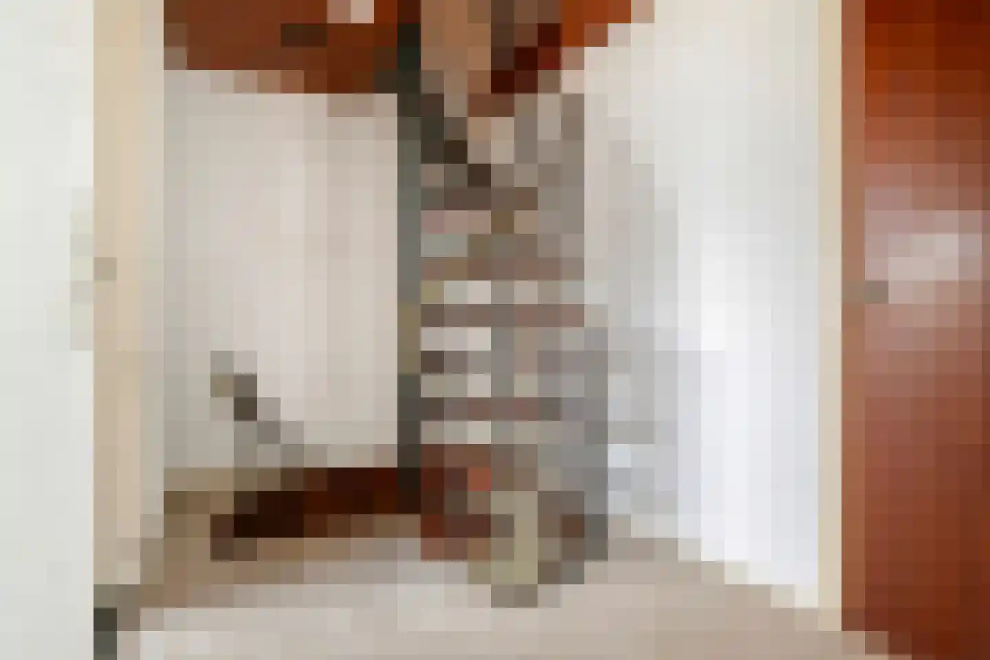 Van der Leeuwlaan 2 Schiedam thumbnail 17