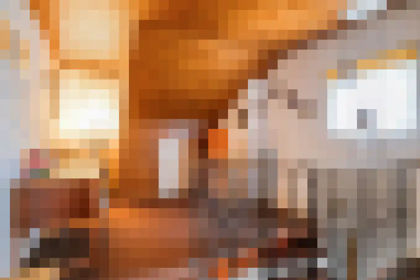 Van der Leeuwlaan 2 Schiedam thumbnail 25