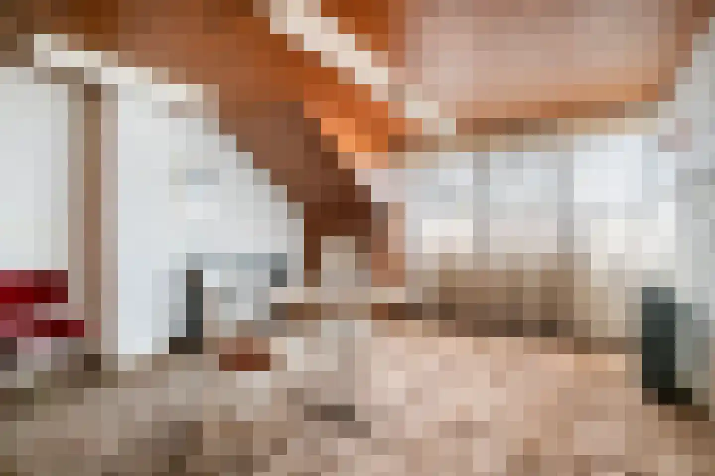 Van der Leeuwlaan 2 Schiedam thumbnail 26