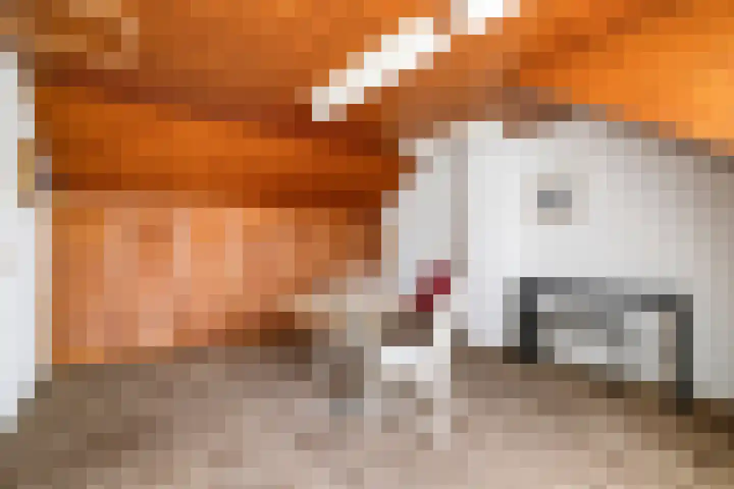 Van der Leeuwlaan 2 Schiedam thumbnail 27