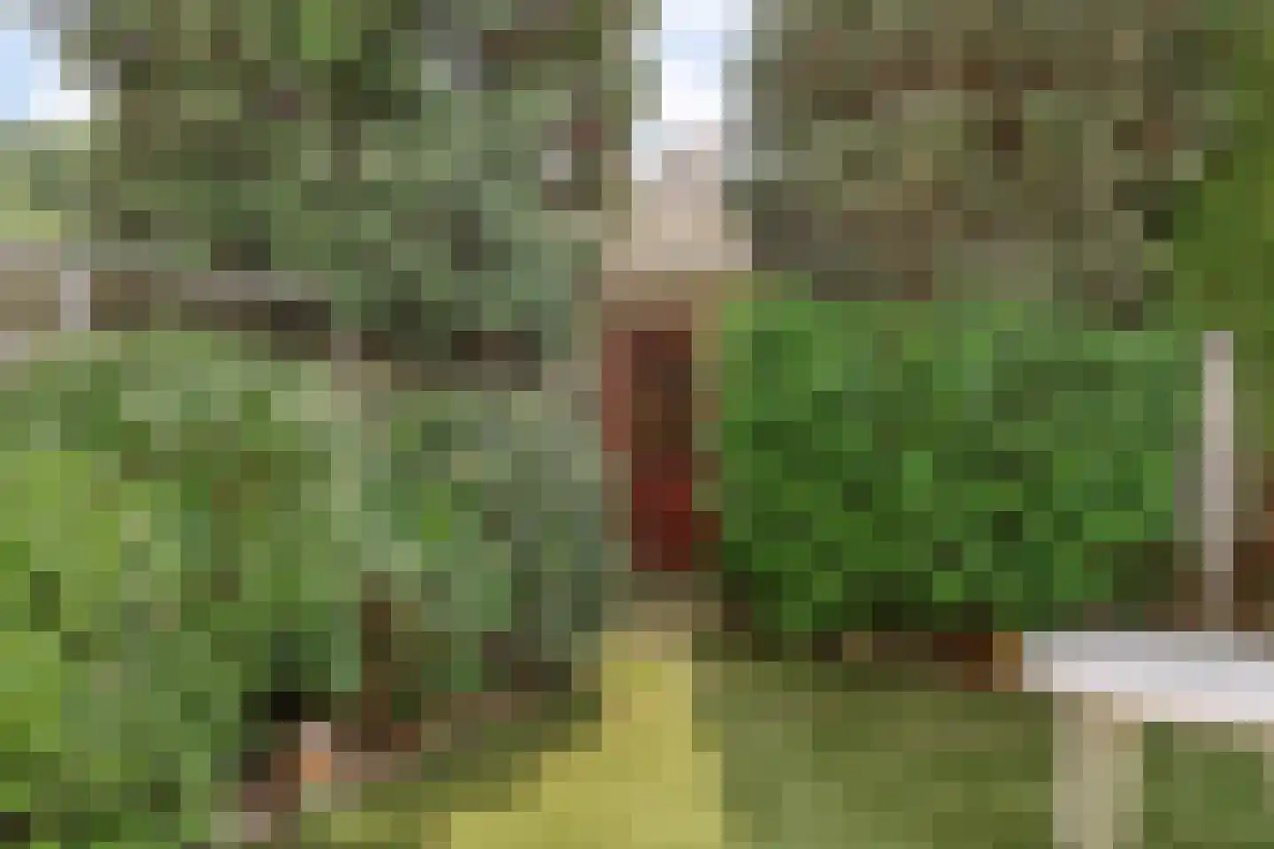 Van der Leeuwlaan 2 Schiedam thumbnail 30