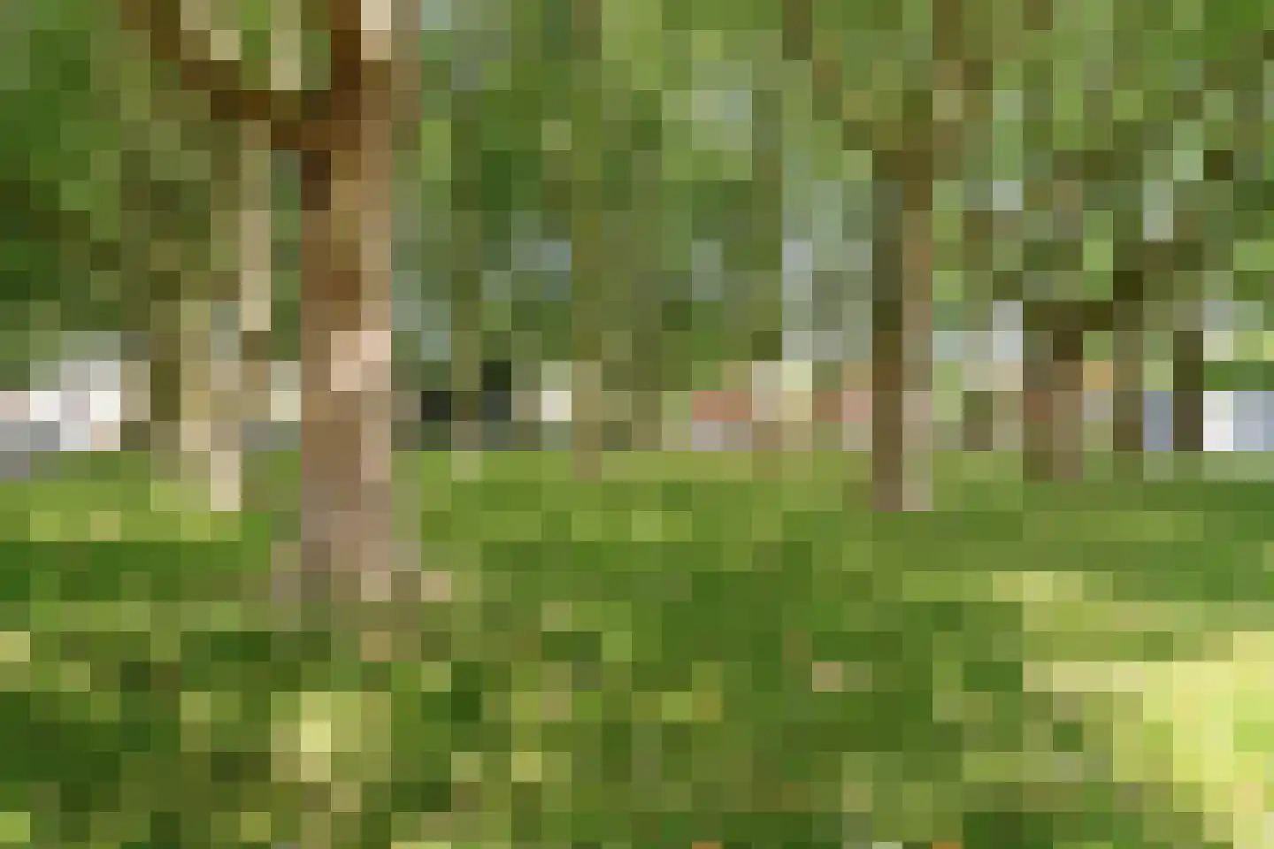 Van der Leeuwlaan 2 Schiedam thumbnail 33