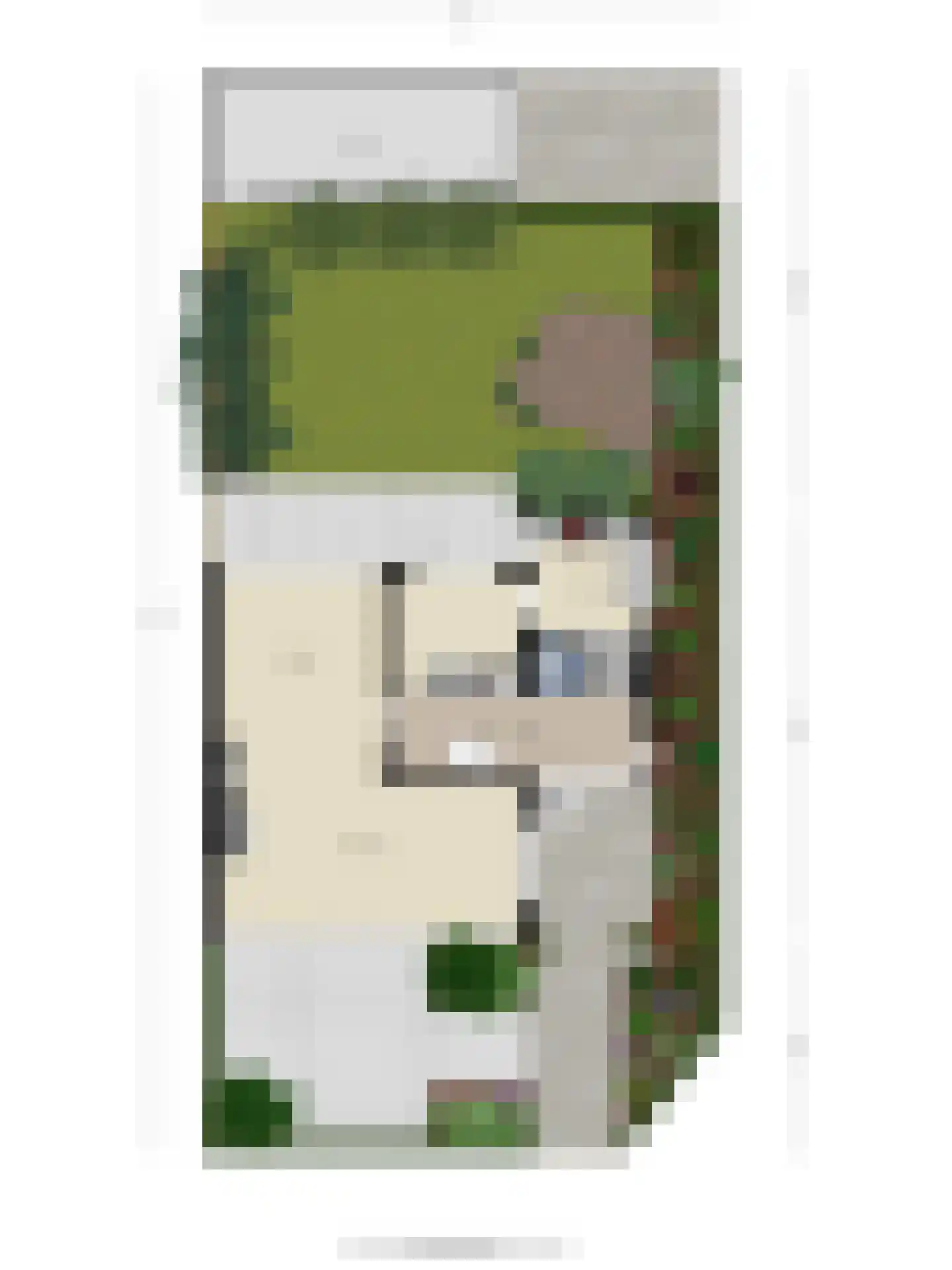 Van der Leeuwlaan 2 Schiedam thumbnail 34