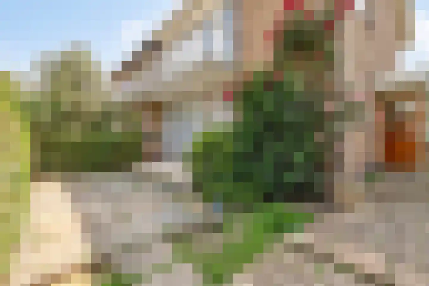 Van der Leeuwlaan 2 Schiedam thumbnail 7