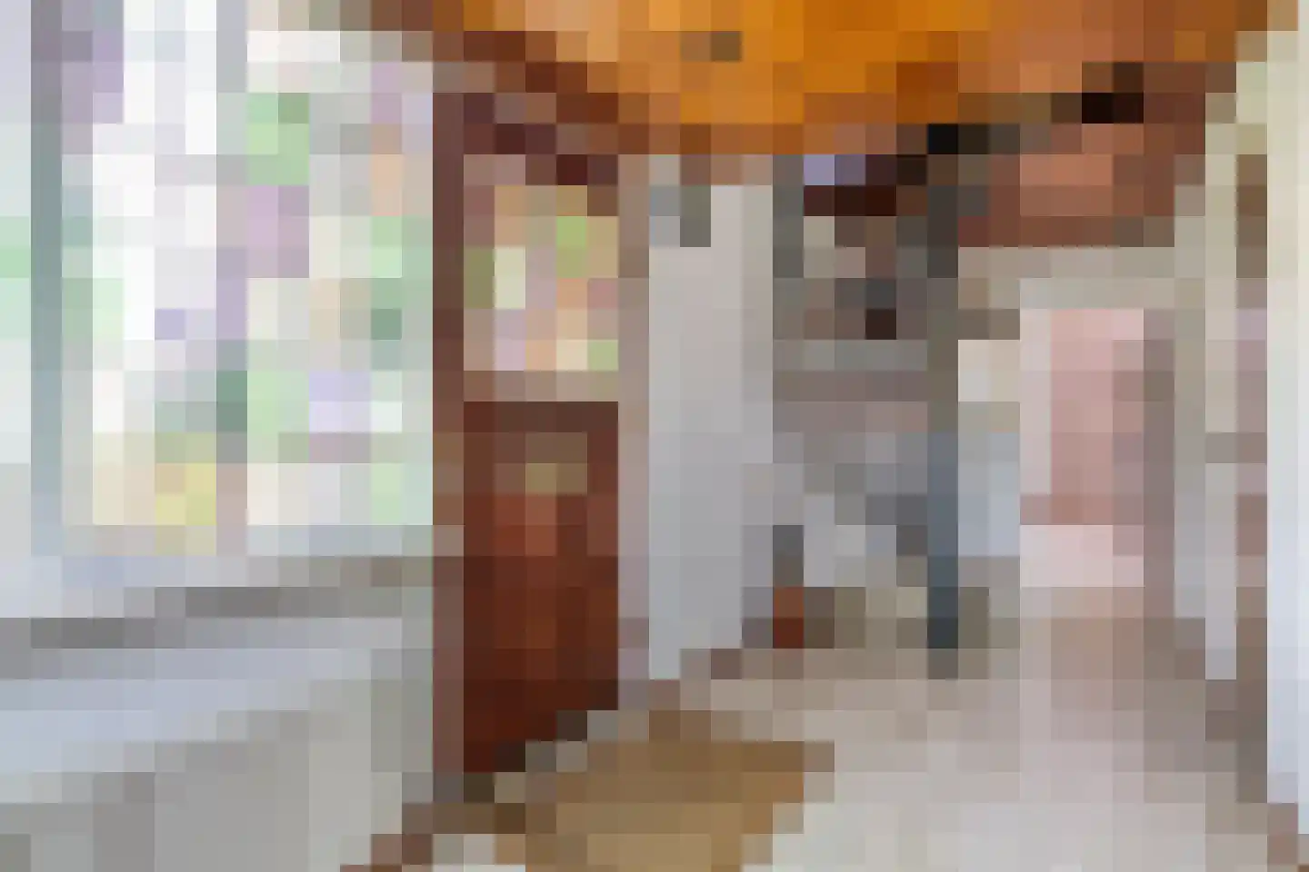Van der Leeuwlaan 2 Schiedam thumbnail 9