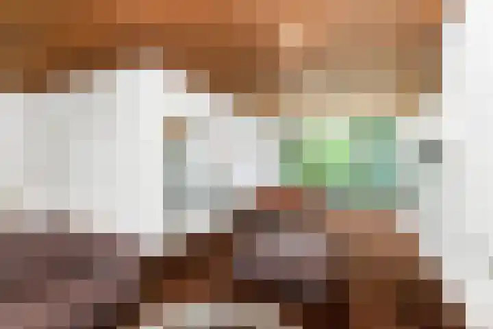 Van der Leeuwlaan 4 Schiedam thumbnail 10
