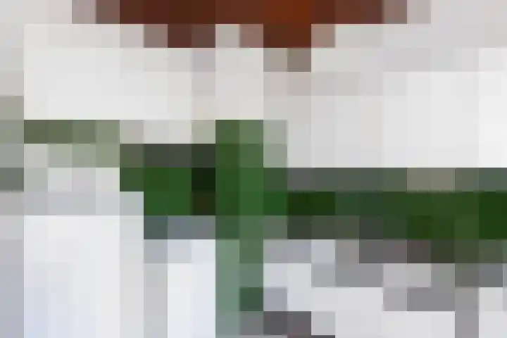 Van der Leeuwlaan 4 Schiedam thumbnail 14