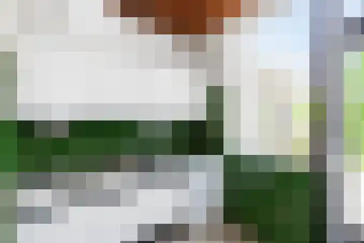 Van der Leeuwlaan 4 Schiedam thumbnail 15