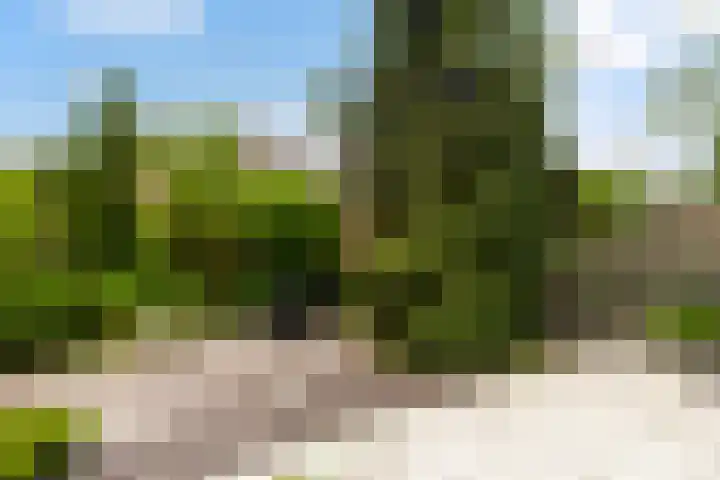 Van der Leeuwlaan 4 Schiedam thumbnail 19