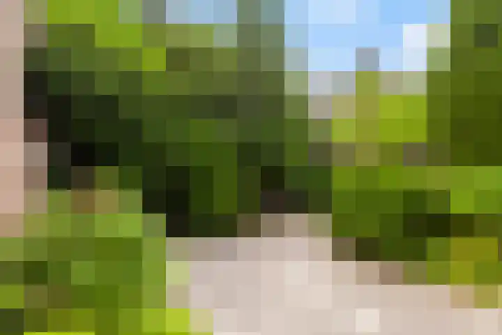 Van der Leeuwlaan 4 Schiedam thumbnail 20