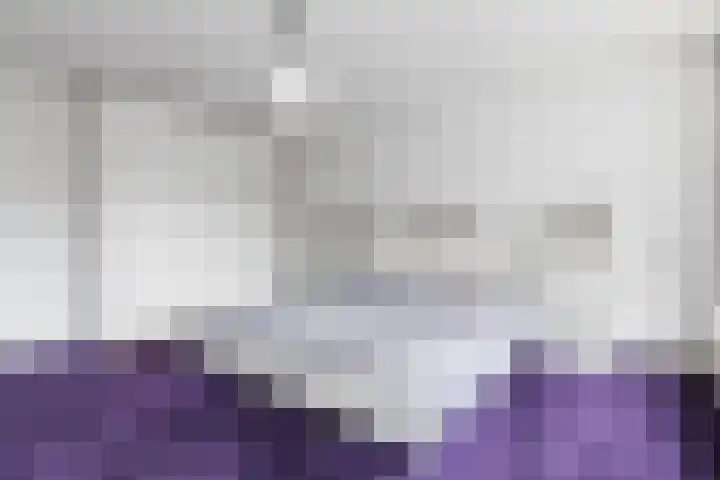 Van der Leeuwlaan 4 Schiedam thumbnail 23