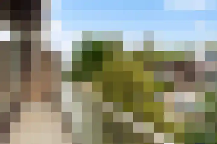 Van der Leeuwlaan 4 Schiedam thumbnail 24