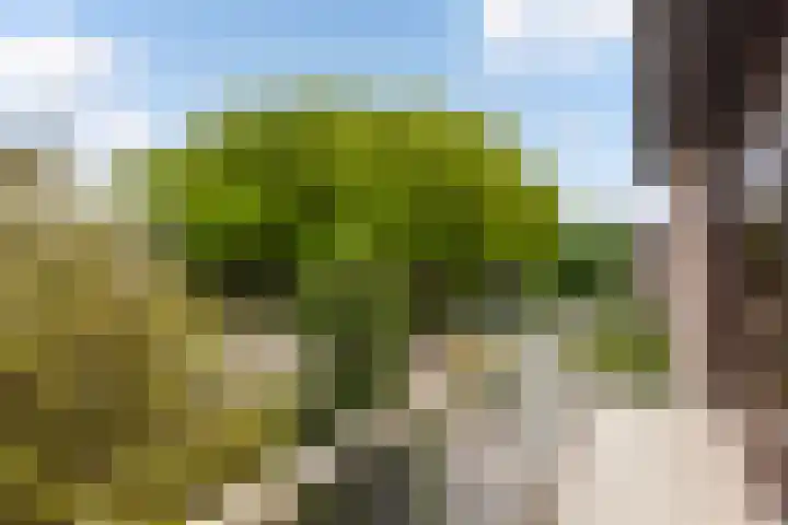 Van der Leeuwlaan 4 Schiedam thumbnail 25