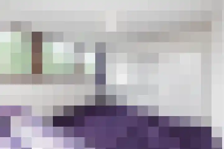 Van der Leeuwlaan 4 Schiedam thumbnail 26