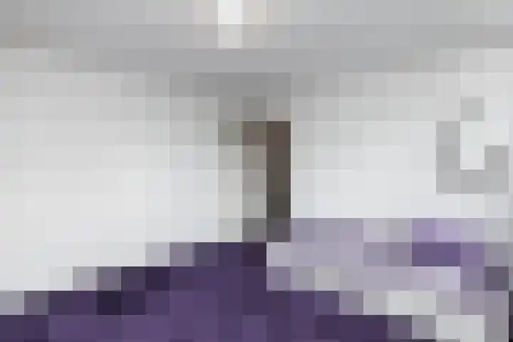 Van der Leeuwlaan 4 Schiedam thumbnail 27