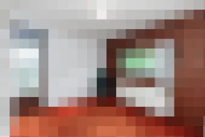 Van der Leeuwlaan 4 Schiedam thumbnail 28