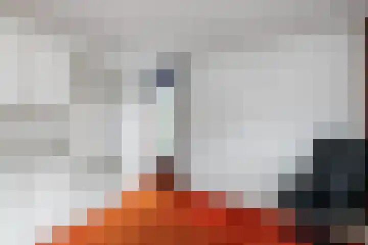 Van der Leeuwlaan 4 Schiedam thumbnail 29