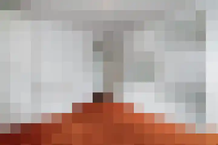 Van der Leeuwlaan 4 Schiedam thumbnail 30