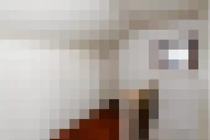 Van der Leeuwlaan 4 Schiedam thumbnail 33