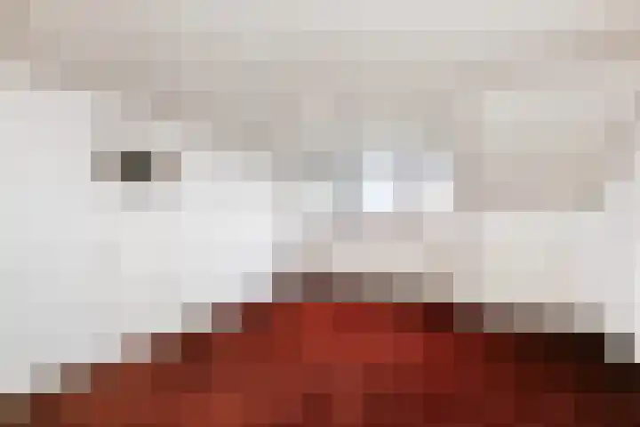 Van der Leeuwlaan 4 Schiedam thumbnail 37