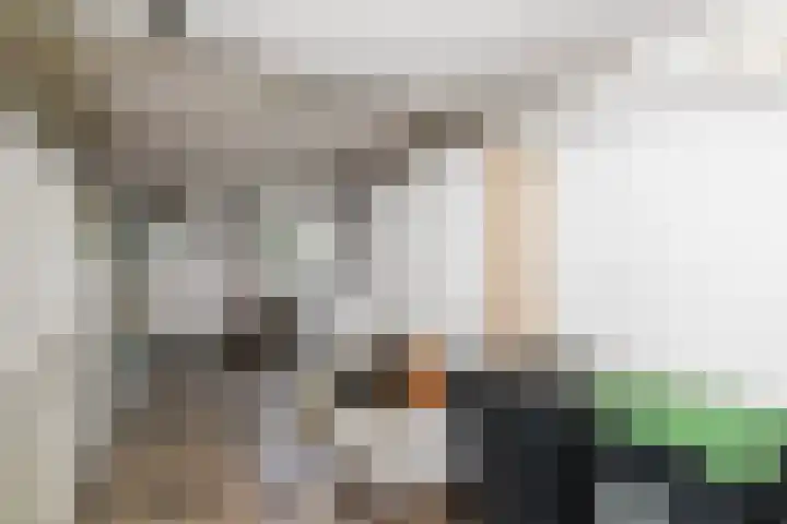 Van der Leeuwlaan 4 Schiedam thumbnail 39