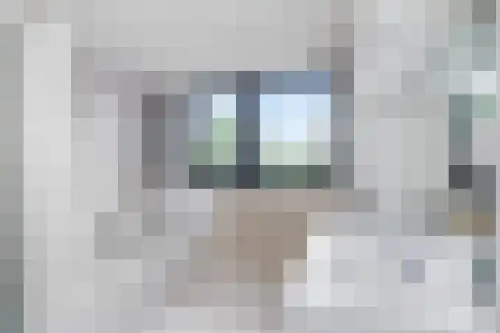 Van der Leeuwlaan 4 Schiedam thumbnail 4