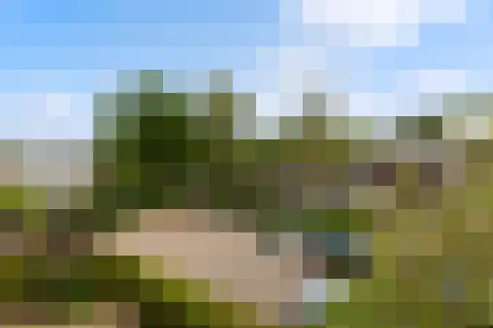 Van der Leeuwlaan 4 Schiedam thumbnail 43