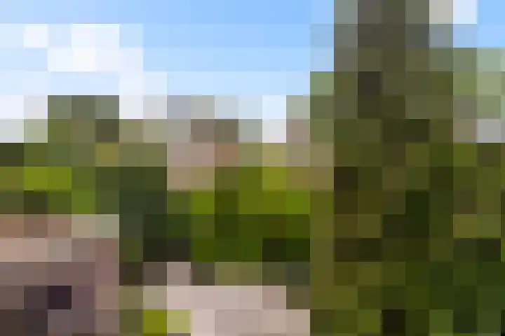 Van der Leeuwlaan 4 Schiedam thumbnail 44
