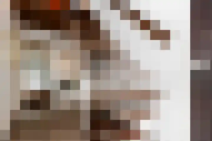 Van der Leeuwlaan 4 Schiedam thumbnail 5