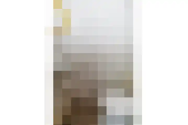 Van der Leeuwlaan 4 Schiedam thumbnail 6