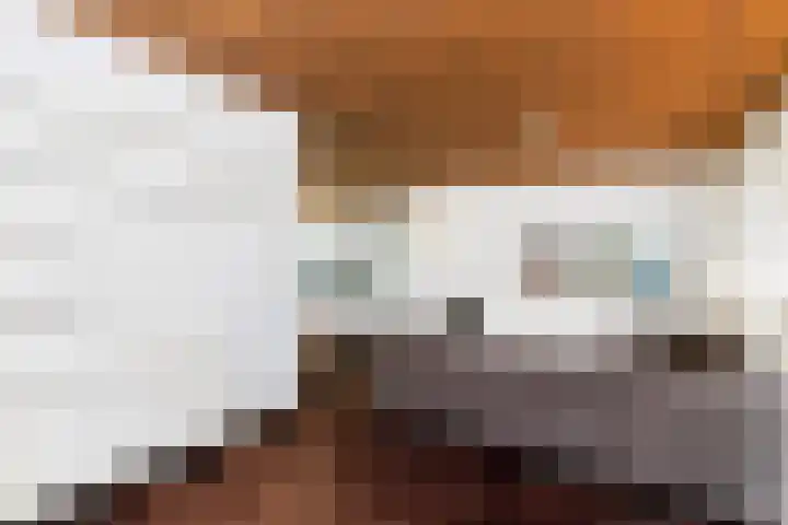 Van der Leeuwlaan 4 Schiedam thumbnail 7