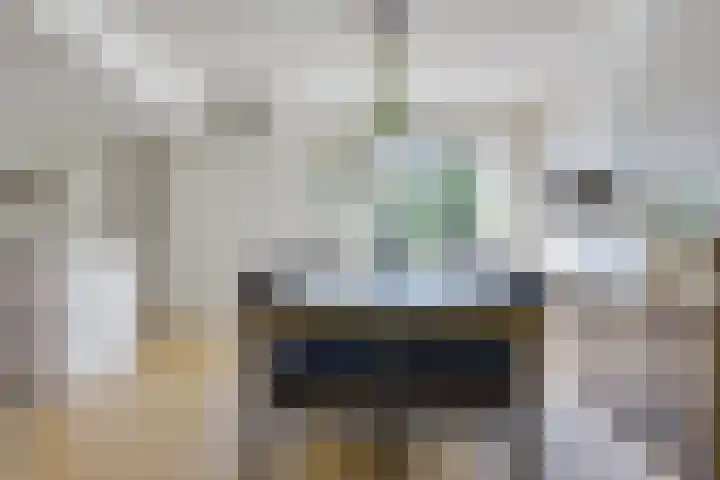 van der Leeuwstraat 9 Rosmalen thumbnail 11