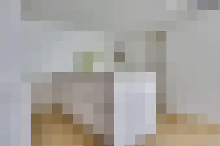 van der Leeuwstraat 9 Rosmalen thumbnail 13