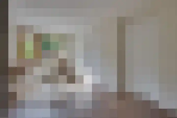 van der Leeuwstraat 9 Rosmalen thumbnail 18