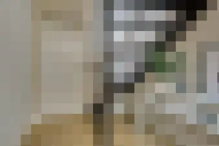 van der Leeuwstraat 9 Rosmalen thumbnail 21