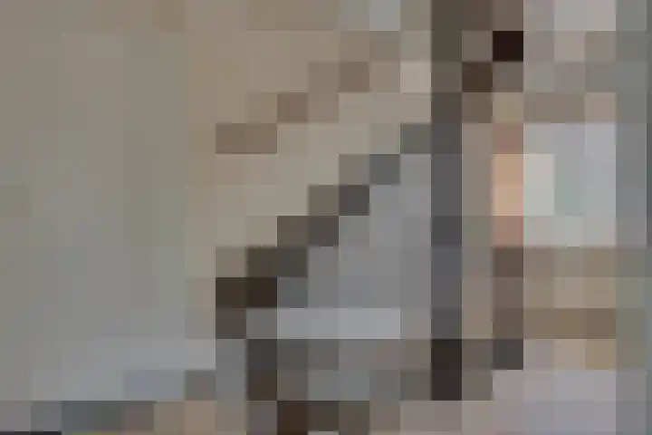 van der Leeuwstraat 9 Rosmalen thumbnail 31