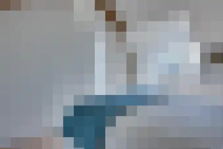 van der Leeuwstraat 9 Rosmalen thumbnail 35