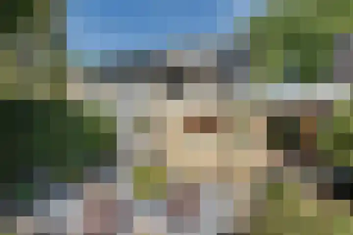 van der Leeuwstraat 9 Rosmalen thumbnail 39