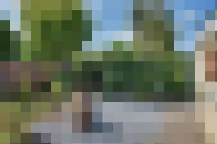 van der Leeuwstraat 9 Rosmalen thumbnail 40