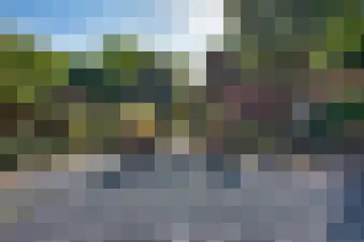 van der Leeuwstraat 9 Rosmalen thumbnail 41