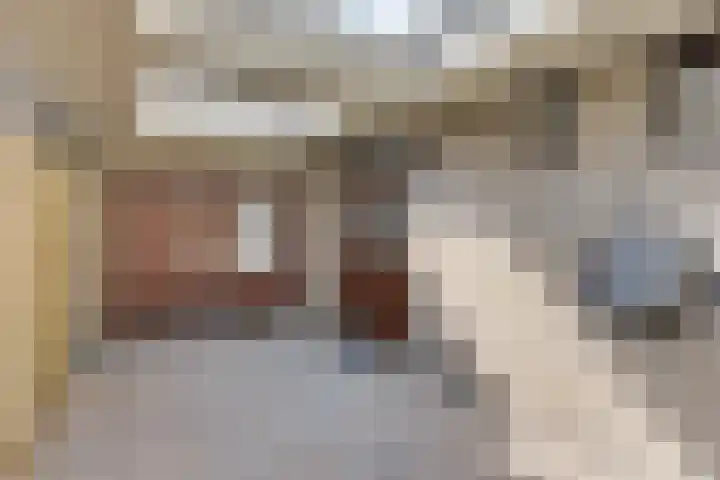 van der Leeuwstraat 9 Rosmalen thumbnail 42