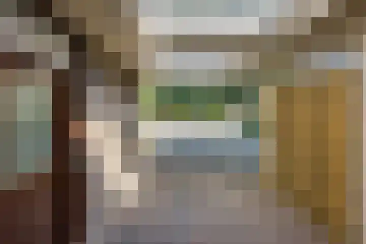 van der Leeuwstraat 9 Rosmalen thumbnail 43